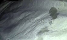 dotado gozando gostoso na punheta kingofxofficial with intense pleasure and solo release