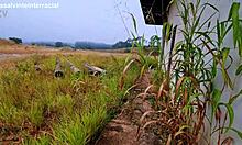 We Stopped At An Abandoned Building In The Middle Of The Road And I Got Her To Suck Me Off Right There Paramos Em Uma Constru��o Abandonada No Meio Da Estrada E Botei Ela Para Me Chupar Ali Mesmo!