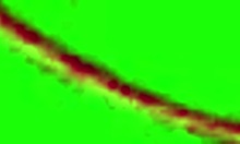 Oletsha, the sexy gourmande, really wants his big cock in her mouth