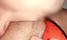 Amateur husband licks his chubby wife's wet pussy after stranger bends her over for doggystyle fucking