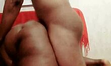 sundaydogood614 update 1031 vid 20250423 143430 apr 23 2025