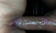 Amateur anal right there, what do you think?