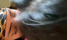 Amateur Boat Ride Turns Into Wild Cousin Blowjob Session!