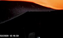 homeless woman blows my cock in the car