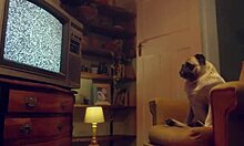 i fuck eden ivy's rich throat in lingerie with deep passion