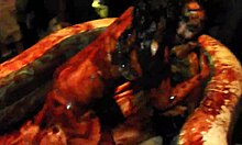 king cures chocolate wrestling olympics the movie