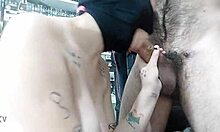 I Suck My Shy Argentine Stepbrother's 20 Centimeter Monster Dick While He Stares At My Big Tits. He Gets Hard From The View.