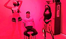 stepsisters tease stepbrother at college party