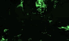 I suspected my sister-in-law was a slut, fucked her in brother's bed