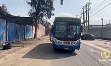peruvian redhead rides bus collector to skip fare payment