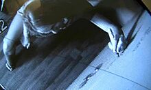 Hung Cocks Through Gloryhole Only For Aria Austin