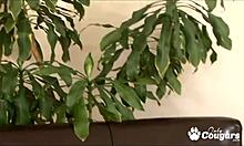 Jamie Tyler and Roxy Deville, do you want a sexy toe sucking orgy?