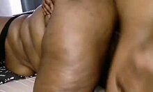 Nigarchrist Update 1496: Petal's Tight Pussy Adventure