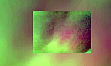 I suckd those amature homemade cocks like a blonde slut.