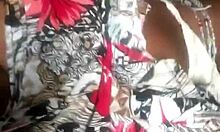 chatting dirty while showing off my small black tits and wet pussy