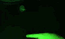 I Couldn't Wait and Fucked My Best Friend in the Car After University