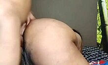 Nigarchrist Update 1596 Petal Release