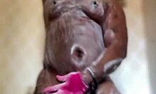 anitawetpussy had a wild night at the strip club with a stranger. her pussy got licked and ass worshipped.