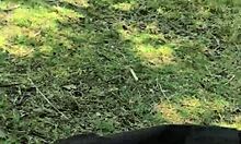 Flashing my huge cock outdoors under pants, waiting for someone to pass and see it!