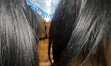 Masked Ebony Gives Blowjob and I Cum in Her Mouth?