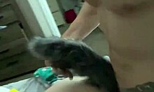 mase619 shares his story of fucking cut foxxxy tail