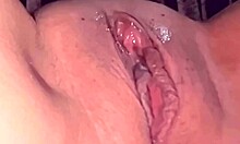 An Amateur's Pink Pussy, 27 Days After Losing Her Virginity