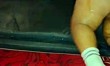 sundaydogood614 - update 913 - vid 20250328 083653 - mar 28 2025