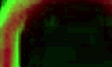 rome major makes oksana roses big ass bounce sensually during passionate sex