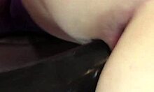 Friends Engage in Playful Exploration with Toys and Affectionate Licks