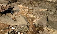 Beach Walk Ends With Cock Insertion For Busty Brunette.