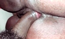 i ate the widow's pussy and ass at her husband's wake