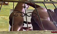 Step brother fucks me better than boyfriend