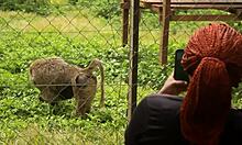 I met a tourist in the park and explored new places together