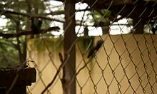 I met a tourist in the park and explored new places together