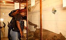 I met a tourist in the park and explored new places together