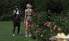 Classy Vixen Assfucked Outdoors By Bbc