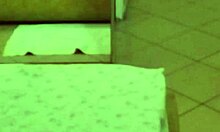 Clip from 2008 Two Students Having Sex