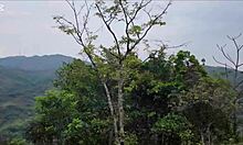 Rapidin En La Montaña Con Mi Novia Termina Con Sentones En Su Casa