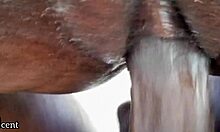 Swollen Pussy Pounded and Drilled Simultaneously by BBC