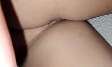 Arbusto De Tu Cuñada Te Gusta