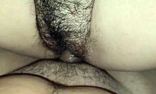 Arbusto De Tu Cuñada Te Gusta