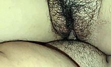 Arbusto De Tu Cuñada Te Gusta