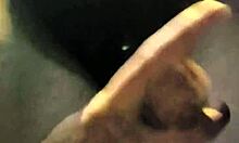 Driftwood and barefoot Kontessa enjoy an evening cruise.