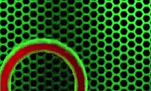 Petite Holly Lace Gets Intense Interracial Facial In Bedroom