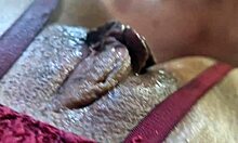 sexo casero con milf y un buen creampie