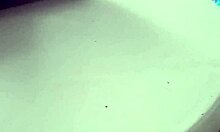 Best homemade porn videos here