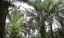 during the holiday, a group of milfs and amateurs engage in hardcore sex deep in the forest