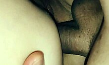 Collection From Our Homemade Porno Studio