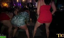 Revoada do ted with lots of fucking and women - ma santos oficial - caroline moraes - sophia wolf official - gabrielly oliveira - casal dna