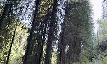 Public Outdoor Compilation in Nature Traveling by Car POV